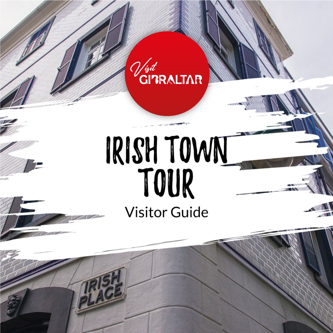 Image of Irish Town Tour Visitor Guide
